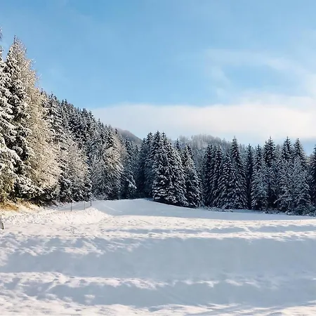 Prázdninový dům In