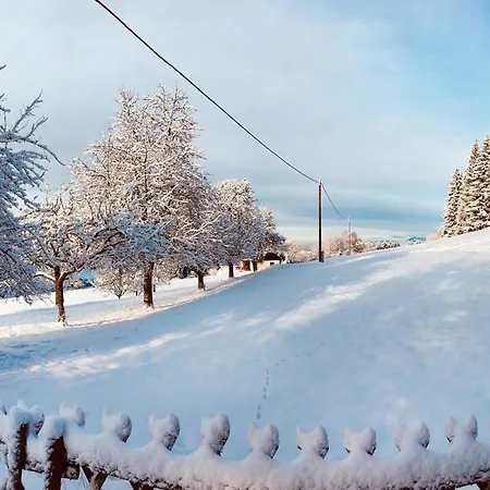 Prázdninový dům In *