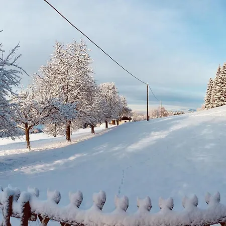 In Сasa de vacaciones