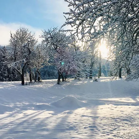 In Сasa de vacaciones *