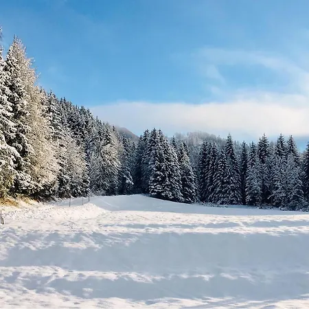 In Prázdninový dům Sagerberg