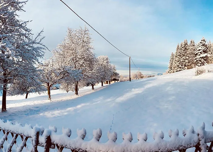 Сasa de vacaciones In *