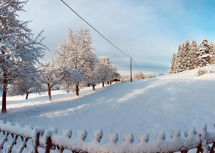 In Сasa de vacaciones