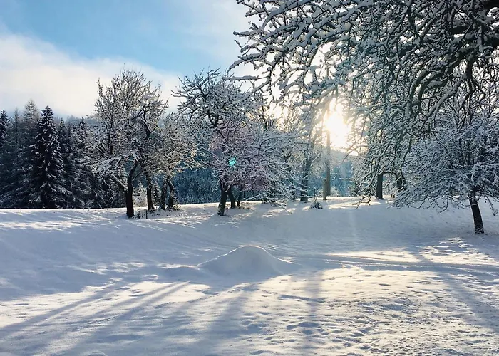 In בית נופש *