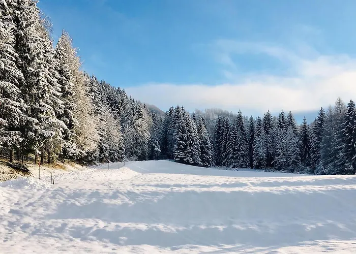 In Σπίτι διακοπών Sagerberg